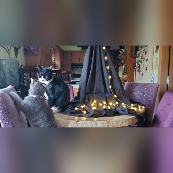 Meet your Posher, Heather - Picture 14 of 16